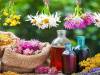 ظرفیت بالای گیاهان دارویی سراوان؛ بستری برای توسعه 