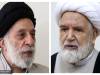 دیدار سید هادی خامنه‌ای و مهدی کروبی / هادی خامنه ای: غیبت میر حسین موسوی و زهرا رهنورد به ضرر مردم و نظام است