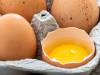 قیمت جدید تخم مرغ چقدر است؟