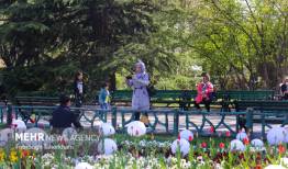 بوستان‌های آبک و سوهانک فردا بسته است