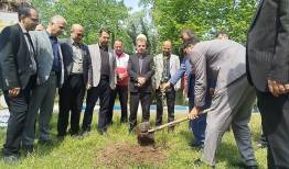 غرس ۸۷ اصله نهال به یاد رهبر شهید در آستانه‌اشرفیه