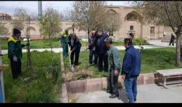 غرس ۱۰۰ اصله نهال در محوطه بقعه تاریخی شیخ کلخوران اردبیل