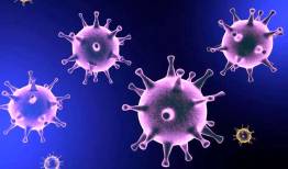 افزایش بیماری‌های عفونی پس از تجمعات گسترده 