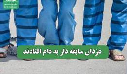 دزدان سابقه دار به دام افتادند