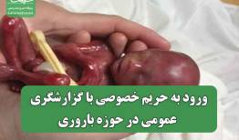 ورود به حریم خصوصی با گزارشگری عمومی در حوزه باروری