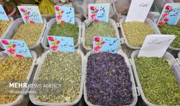 کشف ۷۰ کیلوگرم گیاه دارویی قاچاق در دهلران