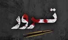 فوری/ یک امام جمعه ترور شد+ عکس