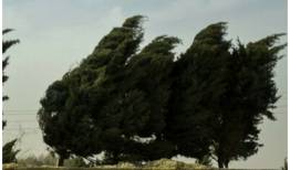 افزایش سرعت وزش باد در تهران