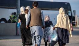 کشف ۳۱۰ میلیارد ریال فرار مالیاتی اتباع غیرایرانی 