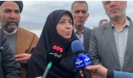 انصاری:لزوم جلوگیری از توسعه صنایع آبر؛ حق آبه محیط زیست جدی گرفته شود