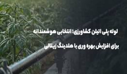 لوله پلی اتیلن کشاورزی؛ انتخابی برای افزایش بهره‌وری با هلدینگ زینالی