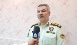 سارقان حرفه‌ای چوب در شاهرود دستگیر شدند؛ اقرار به ۶ فقره سرقت