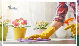چطور در خانه هوای سالم‌تری داشته باشیم؟