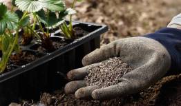 بیش از ۳۶ هزار تن کود یارانه‌ای توزیع شد