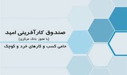 صندوق کارآفرینی امید در مناطق محروم، هم‌وزن بانک‌های بزرگ است