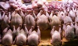 ماجرای مرغ‌های آلوده در بازار چیست؟