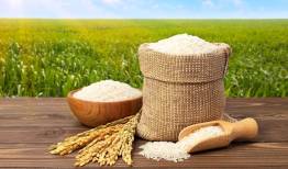 برنج مرغوب در استان های شمالی با چه قیمت؟