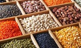 ثبت سفارش واردات انواع حبوبات به زودی آغاز میشود