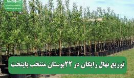 توزیع نهال رایگان در ۲۲بوستان منتخب پایتخت