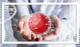 مصرف بیش از حد آنتی‌اکسیدان‌ها DNA اسپرم را تغییر میدهد