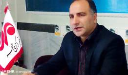 رکورد تولید گندم شکسته شد