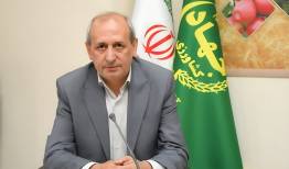 شفیعی: آذربایجان‌شرقی رتبه اول فرآوری و صادرات خرما در کشور را دارد