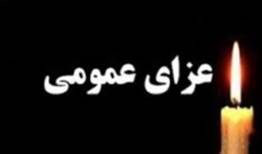 هیئت دولت در پی رحلت آیت‌الله شبیری‌زنجانی امروز عزای عمومی اعلام کرد