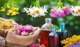 ظرفیت بالای گیاهان دارویی سراوان؛ بستری برای توسعه 