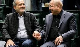 تشخیص سازمان‌های تروریستی منحصراً بر عهده شعام است