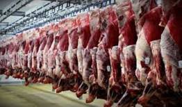 واردات گوشت از برزیل کنترل و پایش می‌شود