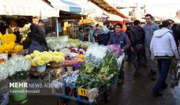 زندگی گل‌ها را نجات می‌دهیم