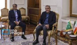 وزیر کشور پاکستان امروز عازم ایران شد