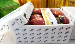 مسیر تجارت کشاورزی ایران و روسیه گسترش می‌یابد