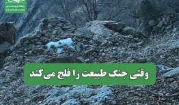 وقتی جنگ طبیعت را فلج می‌کند