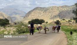 کوچ بهاره عشایر خوزستان شروع شد