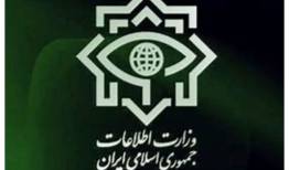 وزارت اطلاعات به مناسبت تشییع رهبر شهید بیانیه صادر کرد