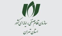 تسهیلات سرمایه در گردش به بنگاه‌های آسیب‌دیده 