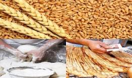 ساماندهی فرآیندهای نظارتی حوزه گندم، آرد و نان 