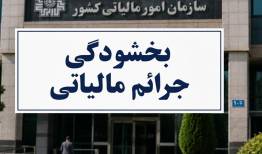 تشریح نحوه تعیین نرخ ارز فعالان اقتصادی در واردات بدون انتقال ارز