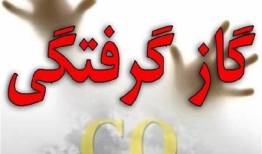 در صورت نشت گاز یا آسیب به لوله‌ها و تاسیسات گازی چه باید کرد؟