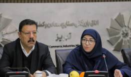 انصاری: صنعت و تولید باید همگام با محیط زیست رشد کند