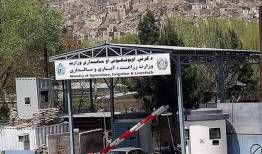 سفر هیئت بلندپایه وزارت زراعت افغانستان به روسیه