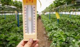 احتمال سرمازدگی محصولات در مناطق سردسیر
