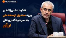 لزوم ورود صندوق توسعه به سرمایه‌گذاری‌های ارز آور