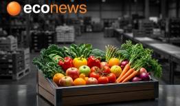 قیمت عمده میوه و سبزیجات این هفته تعیین شد+جدول