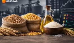 افت قیمت گندم و ذرت در برابر گرانی روغن و برنج