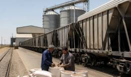 ظرفیت ریلی برای تامین نهاده دامی پاسخگو نیست