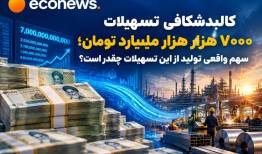 سهم واقعی تولید از این تسهیلات چقدر است؟