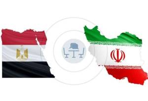 تماس‌ تلفنی وزیر خارجه مصر با وزرای خارجه ایران و عمان درباره  تنش‌های اخیر
