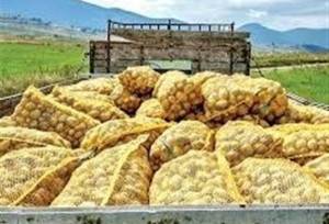 صادرات سیب‌زمینی تا پایان سال ممنوع شد